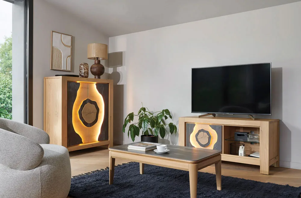 meuble-tele3